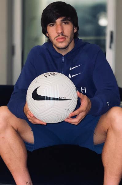 sandro tonali net worth